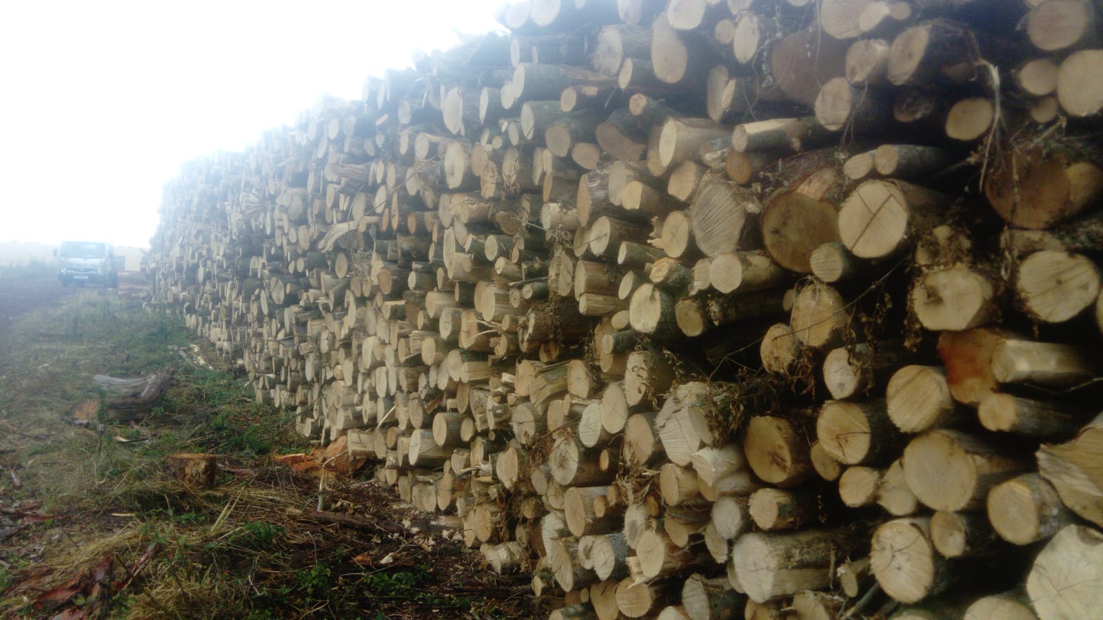 Logs delivered Andover, Winchester, Southampton
