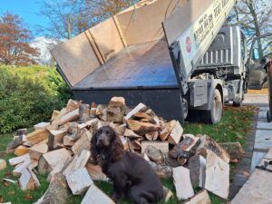Logs firewood Hampshire