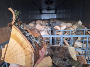 Logs firewood Hampshire